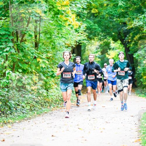 12.10.2025 - Bramfelder Halbmarathon 2025 Dr. Thomas Lammeyer http://msf.ph/oto/9341196 12.10.2025 09:51:05 Laufen 2699, 2915, 2895, 2575 meine-sportfotos.de