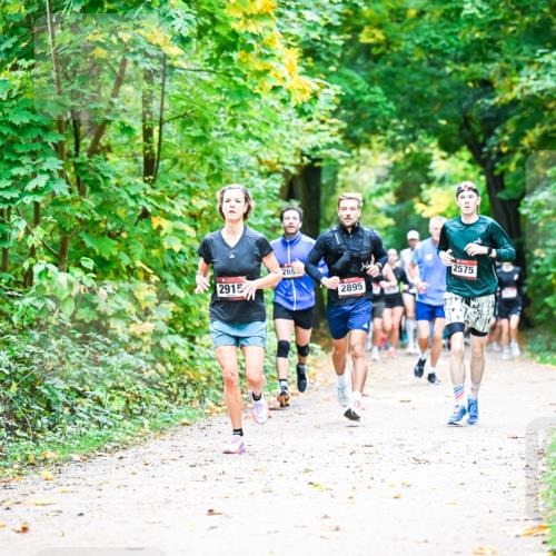 12.10.2025 - Bramfelder Halbmarathon 2025 Dr. Thomas Lammeyer http://msf.ph/oto/9341199 12.10.2025 09:51:05 Laufen 2915, 265, 2895, 2575 meine-sportfotos.de