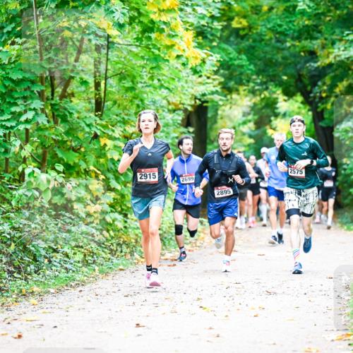 12.10.2025 - Bramfelder Halbmarathon 2025 Dr. Thomas Lammeyer http://msf.ph/oto/9341200 12.10.2025 09:51:05 Laufen 2915, 2699, 2895, 2575 meine-sportfotos.de