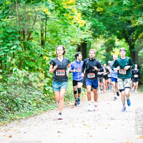 12.10.2025 - Bramfelder Halbmarathon 2025 Dr. Thomas Lammeyer http://msf.ph/oto/9341201 12.10.2025 09:51:05 Laufen 2915, 2699, 2895, 2575 meine-sportfotos.de