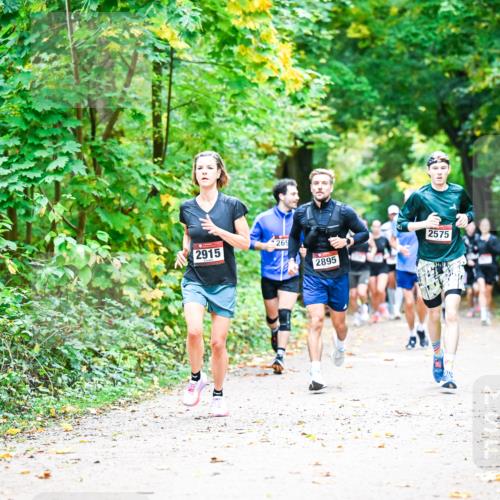 12.10.2025 - Bramfelder Halbmarathon 2025 Dr. Thomas Lammeyer http://msf.ph/oto/9341202 12.10.2025 09:51:06 Laufen 2915, 2895, 5 meine-sportfotos.de