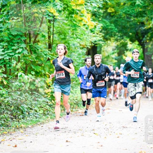 12.10.2025 - Bramfelder Halbmarathon 2025 Dr. Thomas Lammeyer http://msf.ph/oto/9341203 12.10.2025 09:51:06 Laufen 2915, 2895, 2575 meine-sportfotos.de