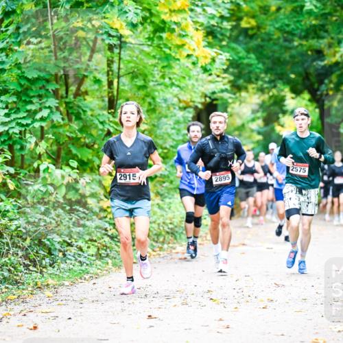 12.10.2025 - Bramfelder Halbmarathon 2025 Dr. Thomas Lammeyer http://msf.ph/oto/9341204 12.10.2025 09:51:06 Laufen 2915, 2895, 2575 meine-sportfotos.de