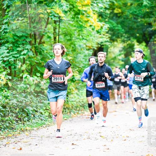 12.10.2025 - Bramfelder Halbmarathon 2025 Dr. Thomas Lammeyer http://msf.ph/oto/9341206 12.10.2025 09:51:06 Laufen 2915, 7, 2895, 2575 meine-sportfotos.de