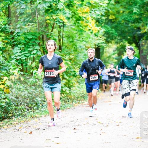 12.10.2025 - Bramfelder Halbmarathon 2025 Dr. Thomas Lammeyer http://msf.ph/oto/9341208 12.10.2025 09:51:07 Laufen 2915, 2895, 2575 meine-sportfotos.de