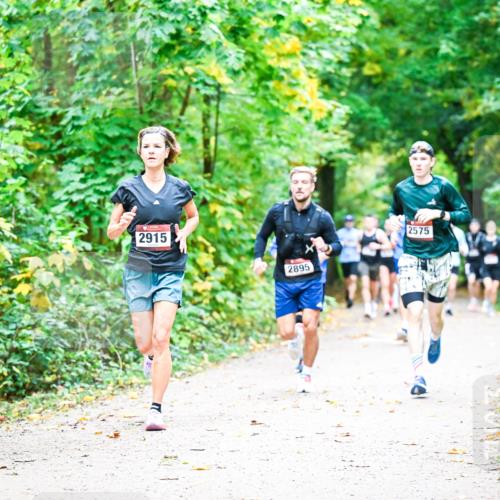 12.10.2025 - Bramfelder Halbmarathon 2025 Dr. Thomas Lammeyer http://msf.ph/oto/9341210 12.10.2025 09:51:07 Laufen 2915, 2895, 2575 meine-sportfotos.de