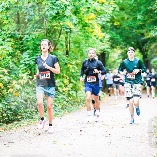 12.10.2025 - Bramfelder Halbmarathon 2025 Dr. Thomas Lammeyer http://msf.ph/oto/9341211 12.10.2025 09:51:07 Laufen 2915, 2895, 2575 meine-sportfotos.de