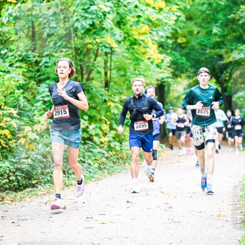 12.10.2025 - Bramfelder Halbmarathon 2025 Dr. Thomas Lammeyer http://msf.ph/oto/9341212 12.10.2025 09:51:07 Laufen 2915, 2895, 2575 meine-sportfotos.de