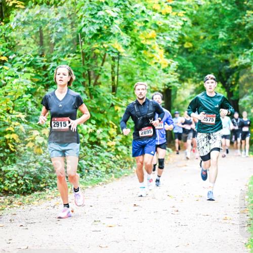 12.10.2025 - Bramfelder Halbmarathon 2025 Dr. Thomas Lammeyer http://msf.ph/oto/9341213 12.10.2025 09:51:07 Laufen 2915, 2895, 99, 2575 meine-sportfotos.de