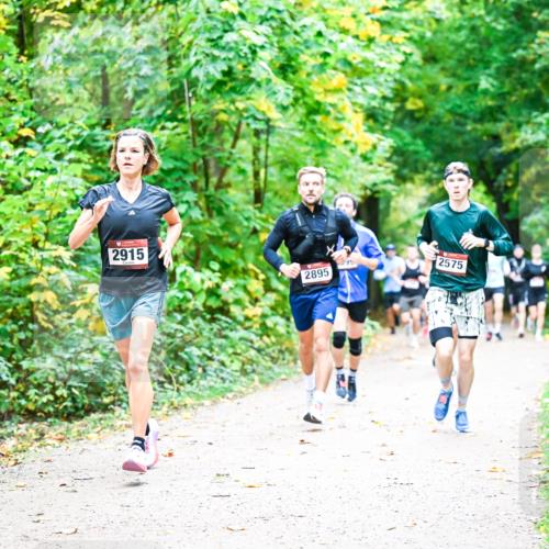 12.10.2025 - Bramfelder Halbmarathon 2025 Dr. Thomas Lammeyer http://msf.ph/oto/9341214 12.10.2025 09:51:07 Laufen 2915, 2895, 2575 meine-sportfotos.de