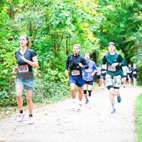 12.10.2025 - Bramfelder Halbmarathon 2025 Dr. Thomas Lammeyer http://msf.ph/oto/9341216 12.10.2025 09:51:08 Laufen 2915, 2895, 2699, 2575 meine-sportfotos.de