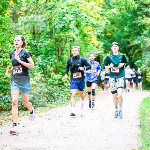 12.10.2025 - Bramfelder Halbmarathon 2025 Dr. Thomas Lammeyer http://msf.ph/oto/9341217 12.10.2025 09:51:08 Laufen 2915, 2895, 2699, 2575 meine-sportfotos.de
