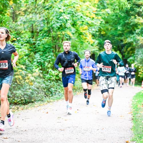 12.10.2025 - Bramfelder Halbmarathon 2025 Dr. Thomas Lammeyer http://msf.ph/oto/9341219 12.10.2025 09:51:08 Laufen 2915, 2895, 2699, 2575 meine-sportfotos.de