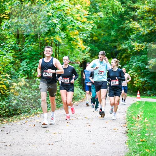 12.10.2025 - Bramfelder Halbmarathon 2025 Dr. Thomas Lammeyer http://msf.ph/oto/9341250 12.10.2025 09:51:13 Laufen 2765, 2636, 2571, 2821 meine-sportfotos.de