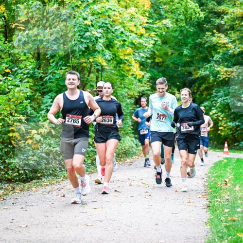 12.10.2025 - Bramfelder Halbmarathon 2025 Dr. Thomas Lammeyer http://msf.ph/oto/9341252 12.10.2025 09:51:13 Laufen 2765, 2636, 2449, 2571, 282, 437 meine-sportfotos.de