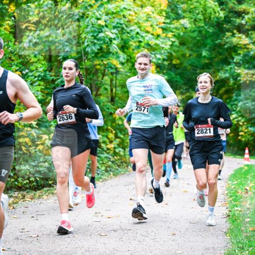 12.10.2025 - Bramfelder Halbmarathon 2025 Dr. Thomas Lammeyer http://msf.ph/oto/9341258 12.10.2025 09:51:14 Laufen 2765, 2636, 2571, 2821 meine-sportfotos.de