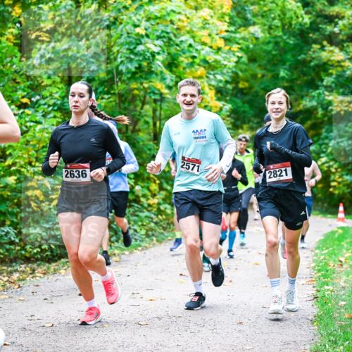 12.10.2025 - Bramfelder Halbmarathon 2025 Dr. Thomas Lammeyer http://msf.ph/oto/9341259 12.10.2025 09:51:14 Laufen 2765, 2636, 20, 20, 2571, 2821 meine-sportfotos.de