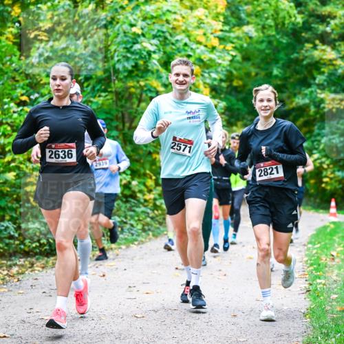 12.10.2025 - Bramfelder Halbmarathon 2025 Dr. Thomas Lammeyer http://msf.ph/oto/9341260 12.10.2025 09:51:15 Laufen 2636, 2939, 2571, 2821 meine-sportfotos.de