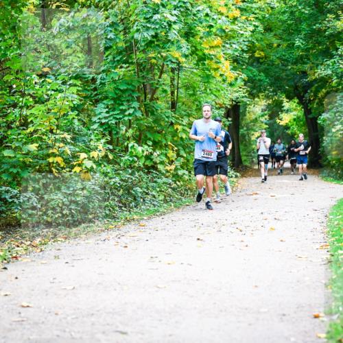 12.10.2025 - Bramfelder Halbmarathon 2025 Dr. Thomas Lammeyer http://msf.ph/oto/9341351 12.10.2025 09:51:33 Laufen 2465 meine-sportfotos.de