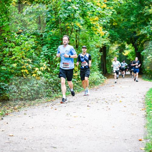 12.10.2025 - Bramfelder Halbmarathon 2025 Dr. Thomas Lammeyer http://msf.ph/oto/9341355 12.10.2025 09:51:35 Laufen 2948, 2465 meine-sportfotos.de