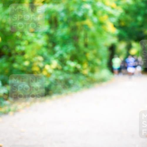 12.10.2025 - Bramfelder Halbmarathon 2025 Dr. Thomas Lammeyer http://msf.ph/oto/9341477 12.10.2025 09:51:55 Laufen  meine-sportfotos.de