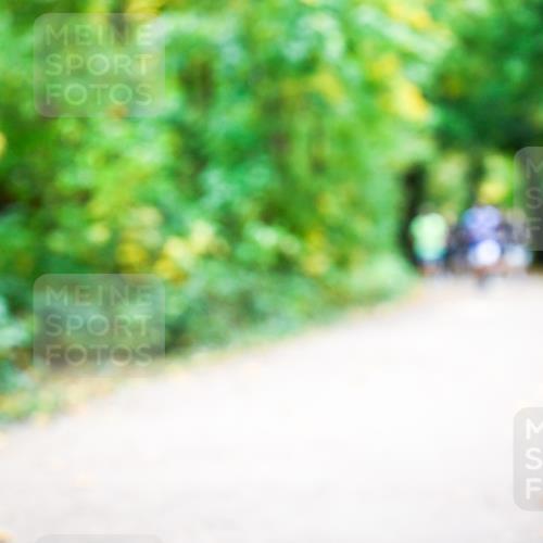12.10.2025 - Bramfelder Halbmarathon 2025 Dr. Thomas Lammeyer http://msf.ph/oto/9341478 12.10.2025 09:51:55 Laufen  meine-sportfotos.de