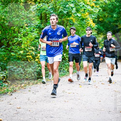 12.10.2025 - Bramfelder Halbmarathon 2025 Dr. Thomas Lammeyer http://msf.ph/oto/9341497 12.10.2025 09:52:02 Laufen 515, 2845, 2610, 2880, 2793, 2753 meine-sportfotos.de