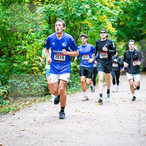 12.10.2025 - Bramfelder Halbmarathon 2025 Dr. Thomas Lammeyer http://msf.ph/oto/9341498 12.10.2025 09:52:02 Laufen 2515, 2880, 2845, 2793, 27 meine-sportfotos.de
