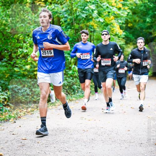 12.10.2025 - Bramfelder Halbmarathon 2025 Dr. Thomas Lammeyer http://msf.ph/oto/9341500 12.10.2025 09:52:03 Laufen 2515, 2845, 2880, 275 meine-sportfotos.de