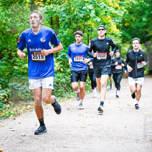 12.10.2025 - Bramfelder Halbmarathon 2025 Dr. Thomas Lammeyer http://msf.ph/oto/9341501 12.10.2025 09:52:03 Laufen 2515, 2845, 2880, 2763, 2753 meine-sportfotos.de