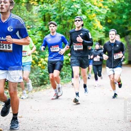 12.10.2025 - Bramfelder Halbmarathon 2025 Dr. Thomas Lammeyer http://msf.ph/oto/9341504 12.10.2025 09:52:03 Laufen 04, 2515, 2845, 10, 2880, 27 meine-sportfotos.de