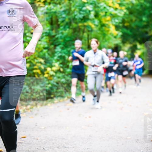 12.10.2025 - Bramfelder Halbmarathon 2025 Dr. Thomas Lammeyer http://msf.ph/oto/9341560 12.10.2025 09:52:15 Laufen 62 meine-sportfotos.de