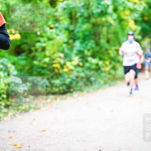 12.10.2025 - Bramfelder Halbmarathon 2025 Dr. Thomas Lammeyer http://msf.ph/oto/9341604 12.10.2025 09:52:23 Laufen 81 meine-sportfotos.de