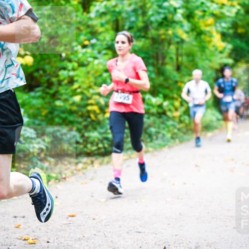 12.10.2025 - Bramfelder Halbmarathon 2025 Dr. Thomas Lammeyer http://msf.ph/oto/9341620 12.10.2025 09:52:25 Laufen 2434, 2495 meine-sportfotos.de