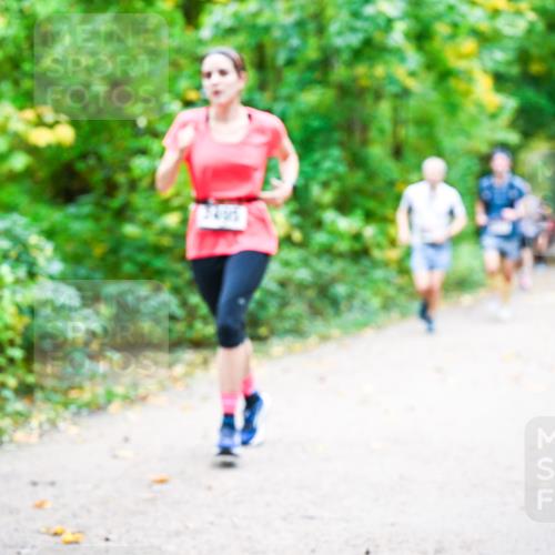12.10.2025 - Bramfelder Halbmarathon 2025 Dr. Thomas Lammeyer http://msf.ph/oto/9341622 12.10.2025 09:52:25 Laufen  meine-sportfotos.de