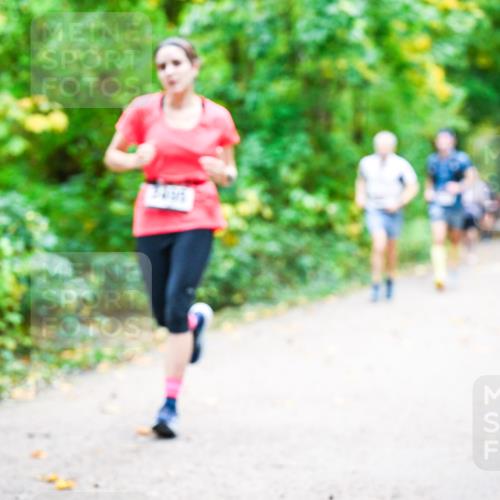 12.10.2025 - Bramfelder Halbmarathon 2025 Dr. Thomas Lammeyer http://msf.ph/oto/9341623 12.10.2025 09:52:25 Laufen  meine-sportfotos.de