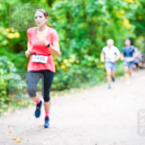 12.10.2025 - Bramfelder Halbmarathon 2025 Dr. Thomas Lammeyer http://msf.ph/oto/9341624 12.10.2025 09:52:26 Laufen  meine-sportfotos.de