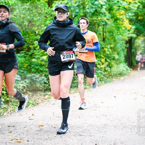 12.10.2025 - Bramfelder Halbmarathon 2025 Dr. Thomas Lammeyer http://msf.ph/oto/9341684 12.10.2025 09:52:36 Laufen 243, 2897, 2004 meine-sportfotos.de