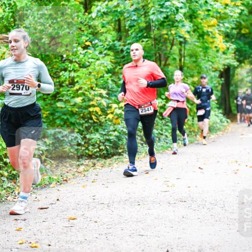 12.10.2025 - Bramfelder Halbmarathon 2025 Dr. Thomas Lammeyer http://msf.ph/oto/9341714 12.10.2025 09:52:47 Laufen 2970, 77, 2541, 459 meine-sportfotos.de