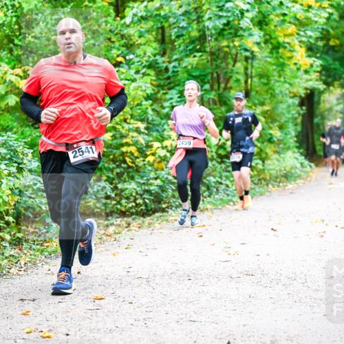 12.10.2025 - Bramfelder Halbmarathon 2025 Dr. Thomas Lammeyer http://msf.ph/oto/9341722 12.10.2025 09:52:49 Laufen 2541, 2459, 2556 meine-sportfotos.de