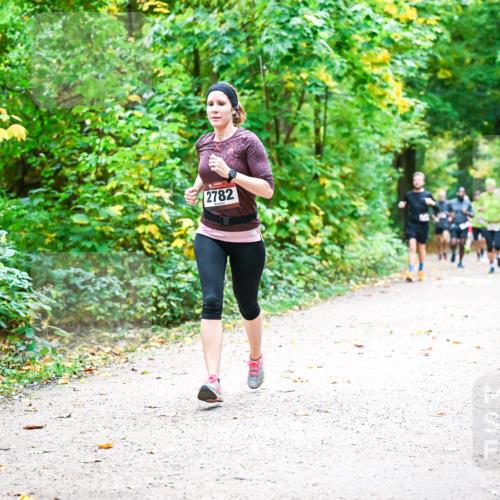 12.10.2025 - Bramfelder Halbmarathon 2025 Dr. Thomas Lammeyer http://msf.ph/oto/9341931 12.10.2025 09:53:25 Laufen 2782 meine-sportfotos.de