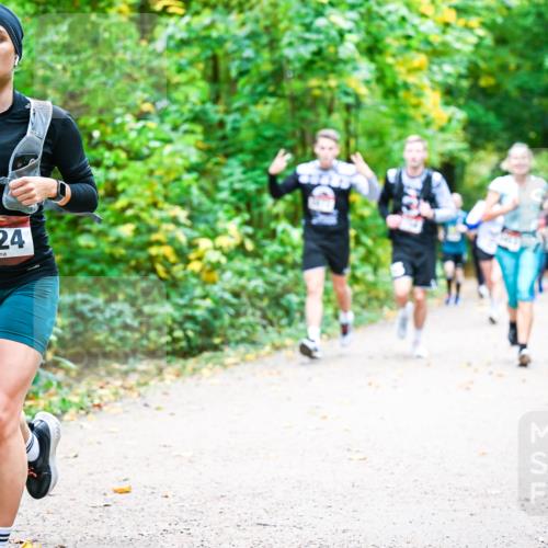 12.10.2025 - Bramfelder Halbmarathon 2025 Dr. Thomas Lammeyer http://msf.ph/oto/9342039 12.10.2025 09:53:50 Laufen 2724 meine-sportfotos.de