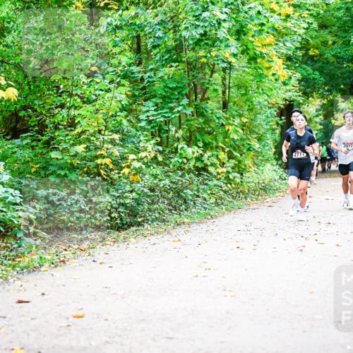 12.10.2025 - Bramfelder Halbmarathon 2025 Dr. Thomas Lammeyer http://msf.ph/oto/9342103 12.10.2025 09:54:01 Laufen 2777, 2977 meine-sportfotos.de