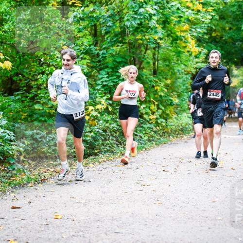 12.10.2025 - Bramfelder Halbmarathon 2025 Dr. Thomas Lammeyer http://msf.ph/oto/9342153 12.10.2025 09:54:09 Laufen 2735, 372, 2445 meine-sportfotos.de