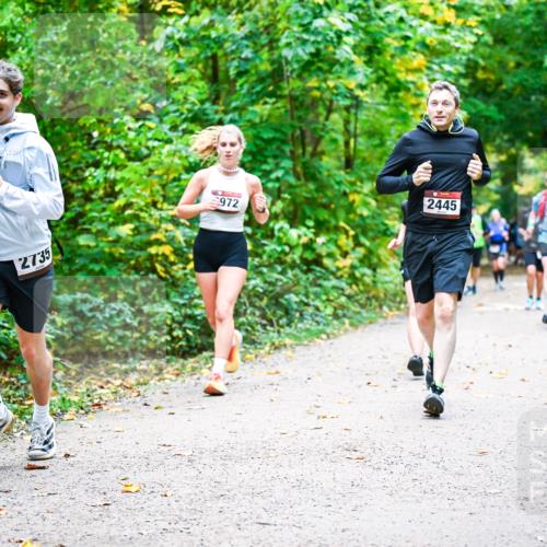 12.10.2025 - Bramfelder Halbmarathon 2025 Dr. Thomas Lammeyer http://msf.ph/oto/9342158 12.10.2025 09:54:10 Laufen 972, 2445, 2735 meine-sportfotos.de