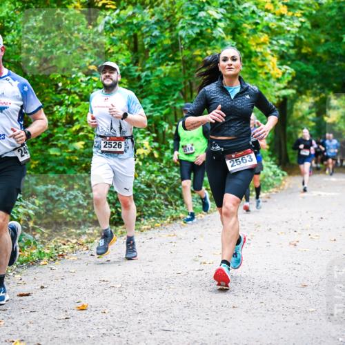 12.10.2025 - Bramfelder Halbmarathon 2025 Dr. Thomas Lammeyer http://msf.ph/oto/9342190 12.10.2025 09:54:16 Laufen 05, 11, 2023, 24, 2526, 18, 2563 meine-sportfotos.de