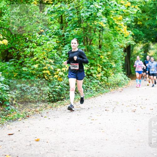 12.10.2025 - Bramfelder Halbmarathon 2025 Dr. Thomas Lammeyer http://msf.ph/oto/9342223 12.10.2025 09:54:21 Laufen 2484 meine-sportfotos.de