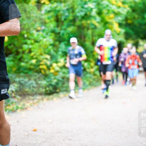 12.10.2025 - Bramfelder Halbmarathon 2025 Dr. Thomas Lammeyer http://msf.ph/oto/9342291 12.10.2025 09:54:32 Laufen 2829 meine-sportfotos.de