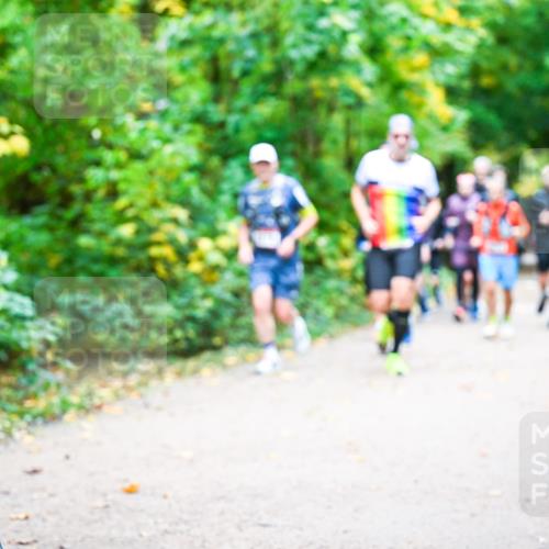 12.10.2025 - Bramfelder Halbmarathon 2025 Dr. Thomas Lammeyer http://msf.ph/oto/9342292 12.10.2025 09:54:32 Laufen  meine-sportfotos.de