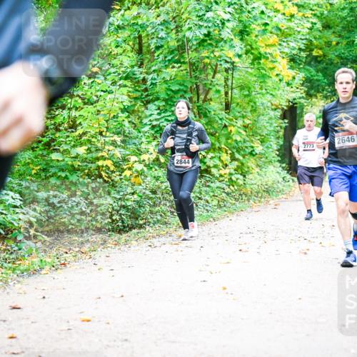 12.10.2025 - Bramfelder Halbmarathon 2025 Dr. Thomas Lammeyer http://msf.ph/oto/9342494 12.10.2025 09:55:10 Laufen 883, 2844, 2773, 2646, 2611, 2540 meine-sportfotos.de